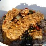 How to cook tempeh. A round up of 6 delicious ways to serve tempeh