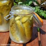 Fermenting for beginners - the best recipes for newbies
