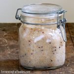 Fermented quinoa with milk kefir, yogurt, kombucha or other probiotic beverages