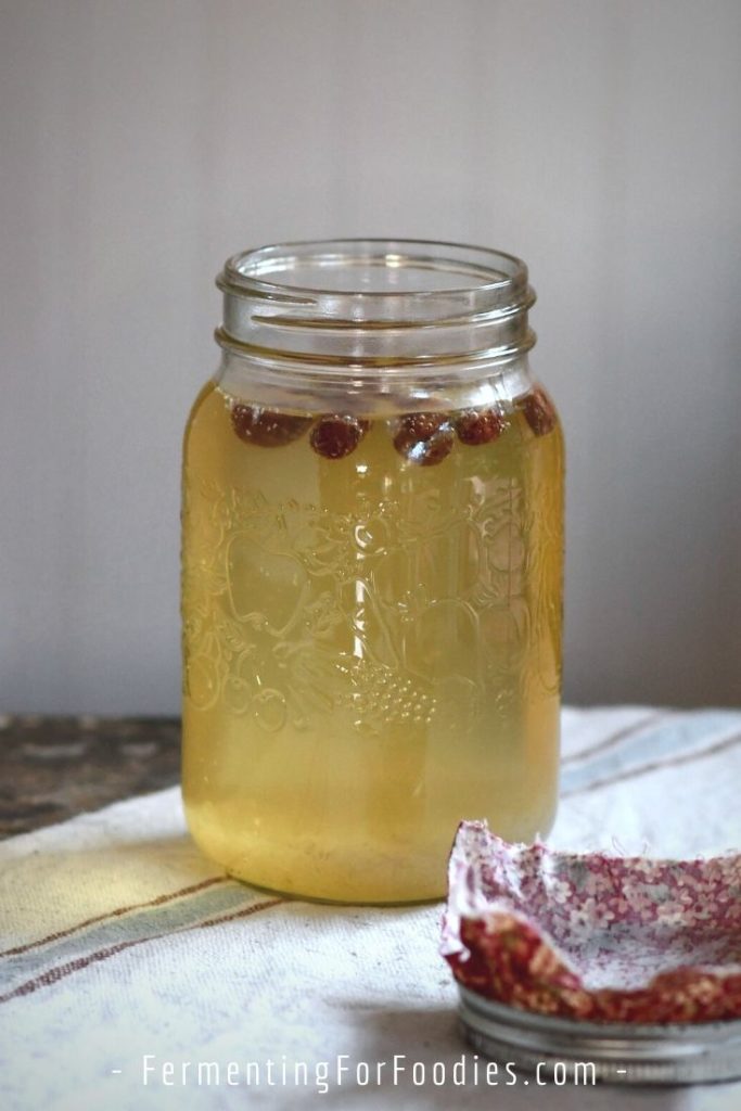 How to brew water kefir with dried fruit