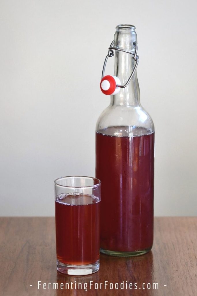 How to brew water kefir with fruit juice