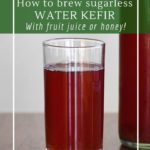 How to brew water kefir without sugar or molasses