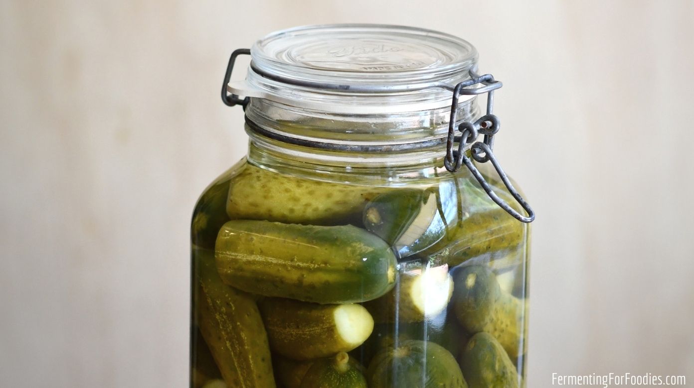 Lacto Fermented Dill Pickles