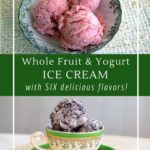 This healthy fruit ice cream is refined sugar-free and probiotic! Made with whole fruit!