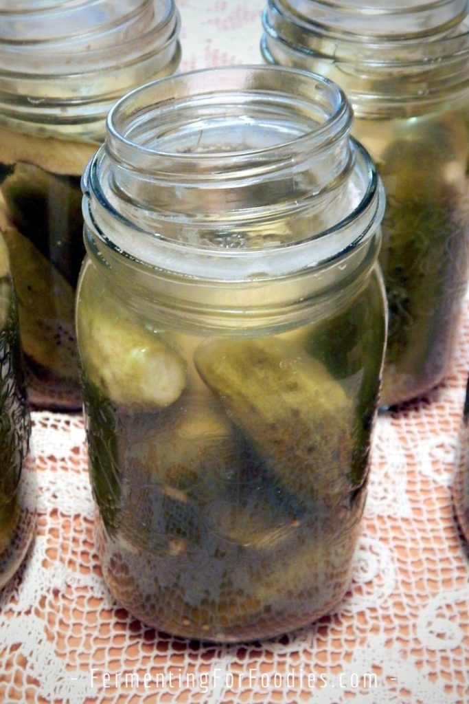 How to make Lacto-fermented pickles in a crock, fido jar or mason jar