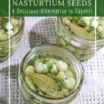 Why I like to make pickled nasturtium seeds every year!
