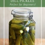 How to make a reliable and long-lasting fermented pickle