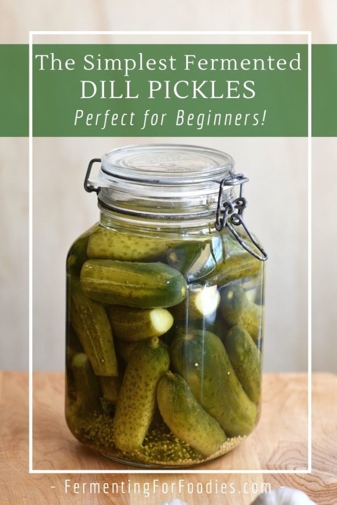 How to make a reliable and long-lasting fermented pickle