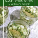 How to pickle nasturtium seeds for a zero-waste and free alternative to capers