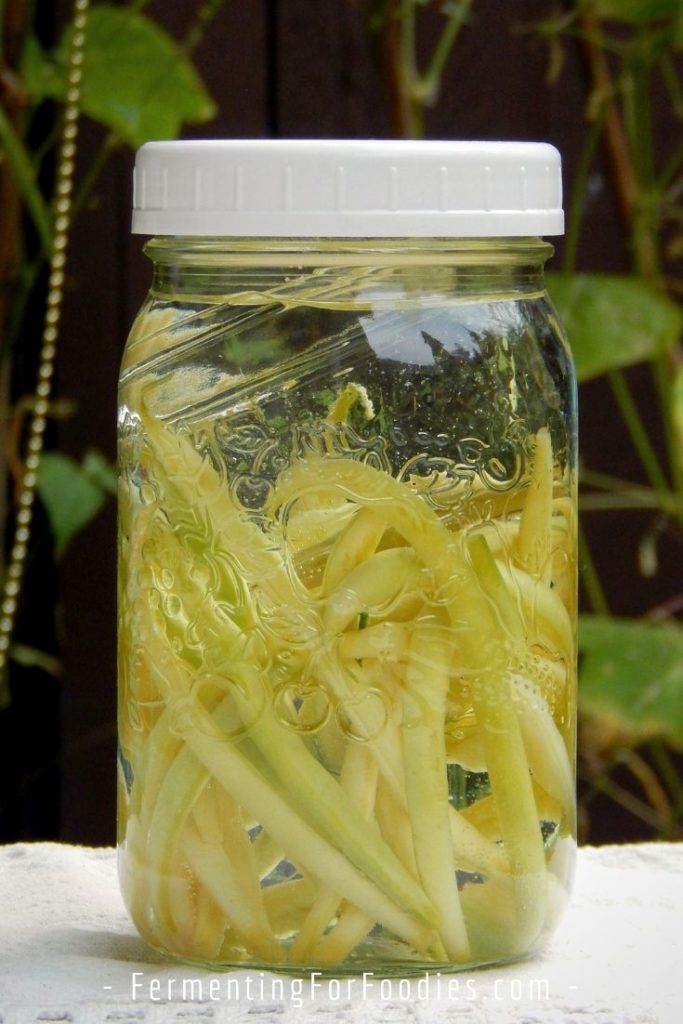 Garlicy fermented green bean pickles with 4 other flavour options