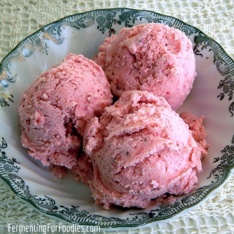 This healthy fruit ice cream is refined sugar-free and probiotic! Made with whole fruit!