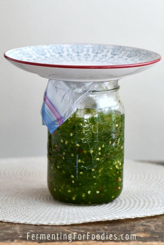 Hot sauce for fermenting with a plastic bag filled with water as a weight.