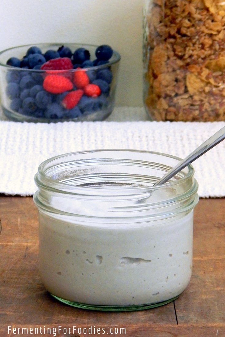 Fermented cashew yogurt is a probiotic snack or breakfast option