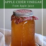 Simple homemade apple cider vinegar probiotic and delicious