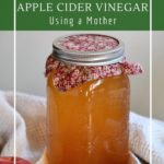 Simple homemade apple cider vinegar probiotic and delicious