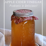 How to make homemade apple cider vinegar from cultured store-bought vinegar