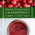 Fermented cranberry sauce is probiotic and very simple and easy to make. No cooking!