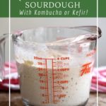 Simple gluten-free kombucha sourdough