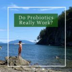 The evidence that probiotics survive digestion.