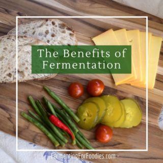 6 Benefits of fermented foods and beverages