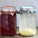 Try making a berry ginger bug soda!