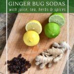 How to flavor ginger bug soda with juice, tea and spices