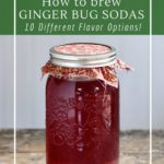 Try making a berry ginger bug soda!