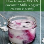 Simple and delicious homemade yogurt, a vegan and dairy-free option