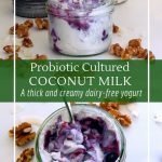 Homemade fermented coconut milk yogurt with probiotic culture
