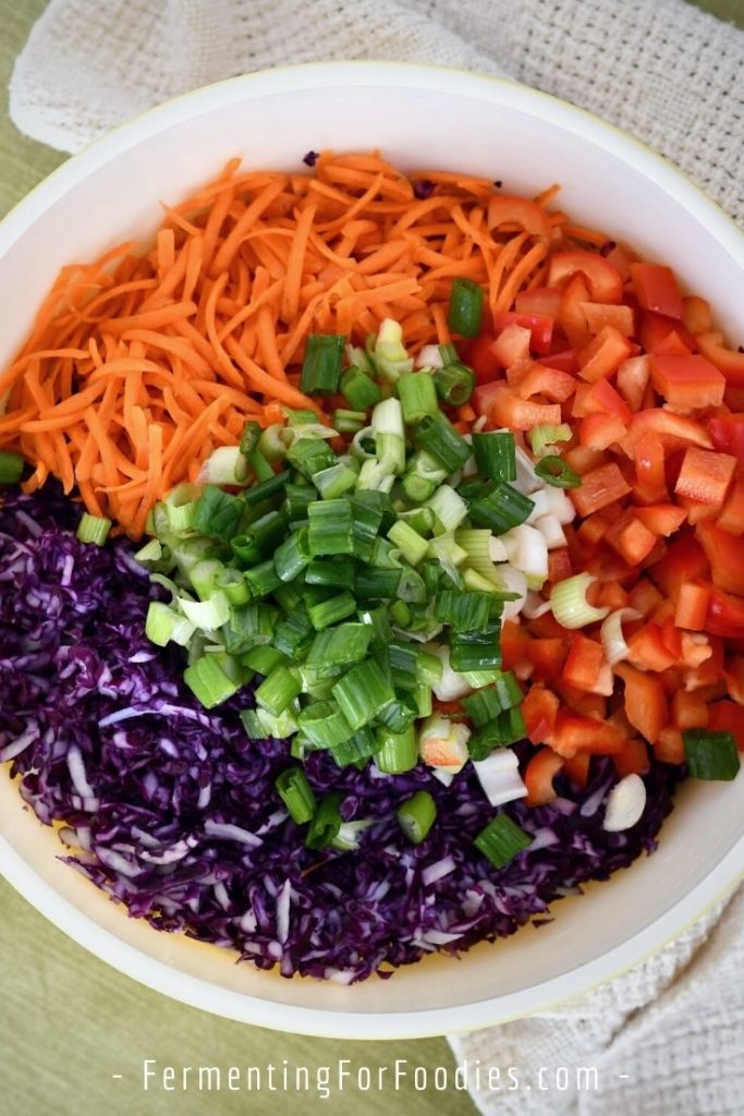 Vinegar coleslaw with rainbow vegetables.
