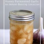 Why you should consider making honey fermented garlic