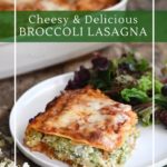 Delicious vegetarian lasagna packed with vegetables