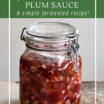 How to make a simple, no-cook fermented plum sauces for a zero-waste alternative.
