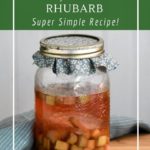 Simple, zero-waste, no cook fermented rhubarb. An easy recipe, perfect for beginners!