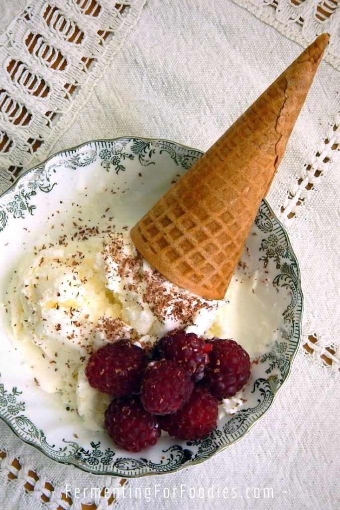 3-Ingredient honey vanilla frozen yogurt