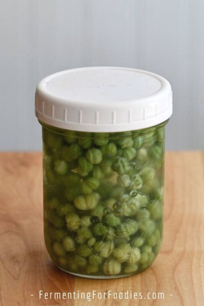 Simple fermented nasturtium seed pods for a gardener's caper