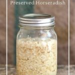 Homemade prepared horseradish is delicious in salads, with meat, sandwiches and mashed potatoes