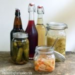 How do you know when fermented foods have gone off - what is the shelf life