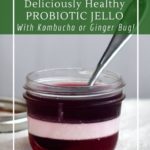 How to make a sugar-free and probiotic jello with juice