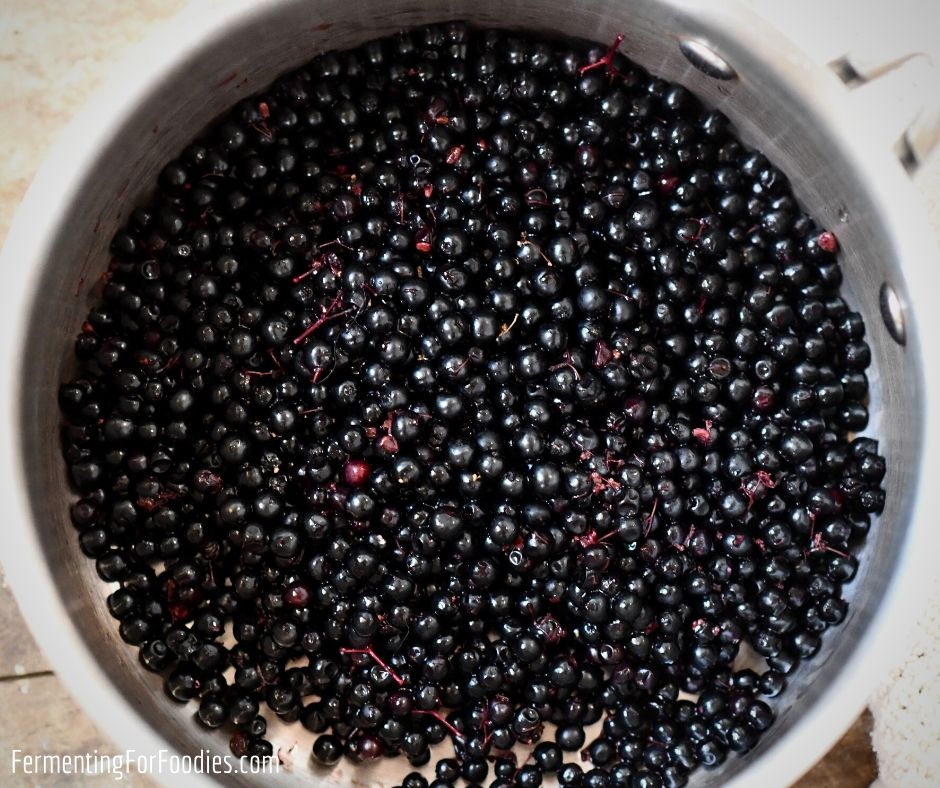 Antiviral elderberries are perfect for fighting colds and flu