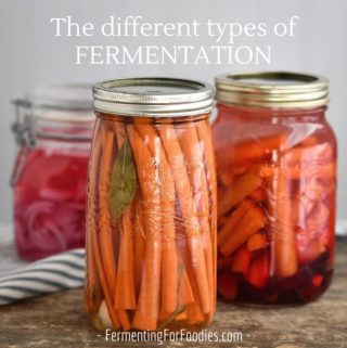 The main types of fermentation and 12 different types of culture