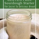 How-to-make-a-gluten-free-sourdough-starter-in-less-than-5-days