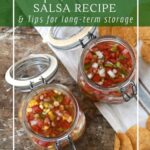 Simple, salt-brine fermented salsa