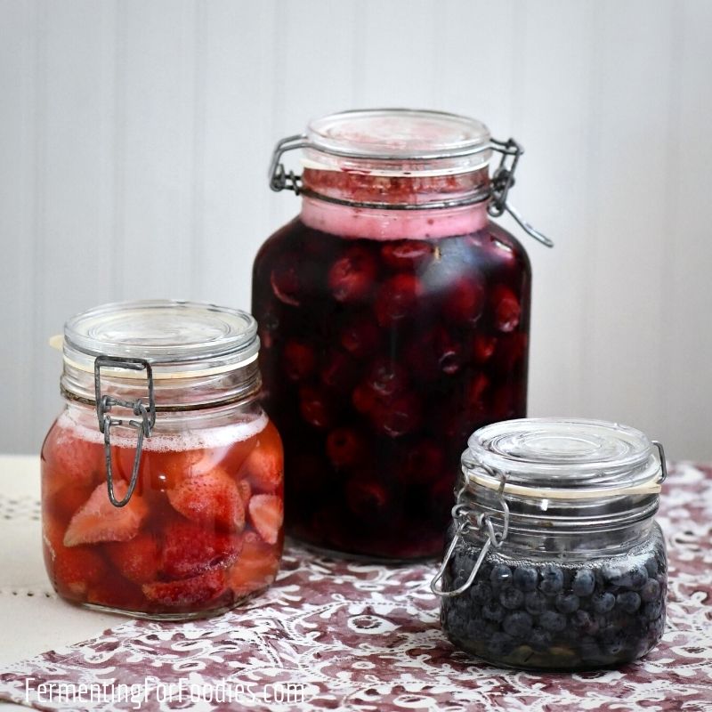 Kombucha, kefir or honey fermented berries