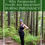 What fermented foods are safe to eat during pregnancy