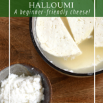 How to make halloumi cheese- step-by-step