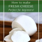 Homemade fresh cheese, 10 simple recipes, perfect for beginners