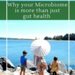 What is the human microbiome and gut health.