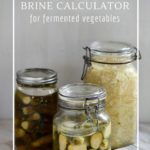 How to calculate salt to water ratios for the best fermentation brine