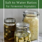 What's the best fermentation brine recipe to use for fermented vegetables
